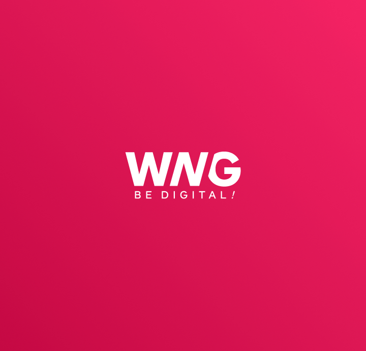 vignette de l'article "De nouveaux visages chez WnG Solutions"