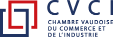 WNG Agence Digitale - CVCI