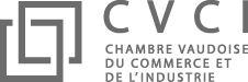 WNG Agence Digitale - CVCI
